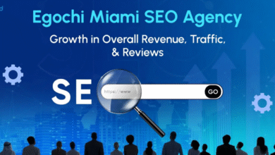 Egochi Miami SEO Agency