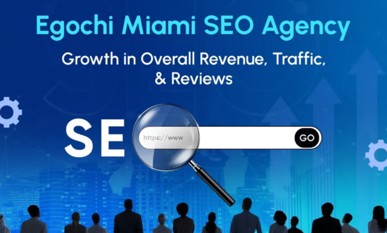 Egochi Miami SEO Agency