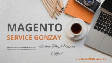 Magento Service Gonzay