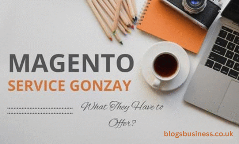 Magento Service Gonzay